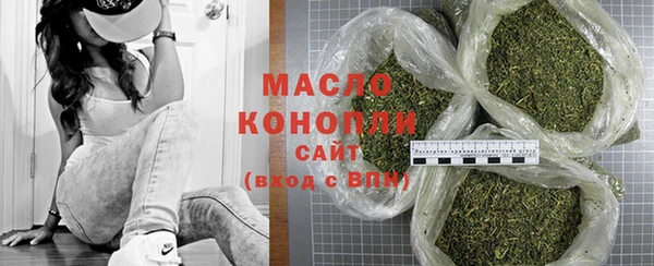 амф Бородино