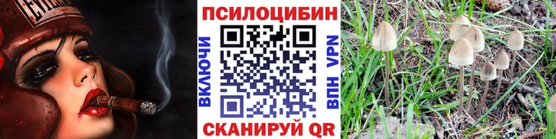Псилоцибиновые грибы мицелий  цены   Мглин 